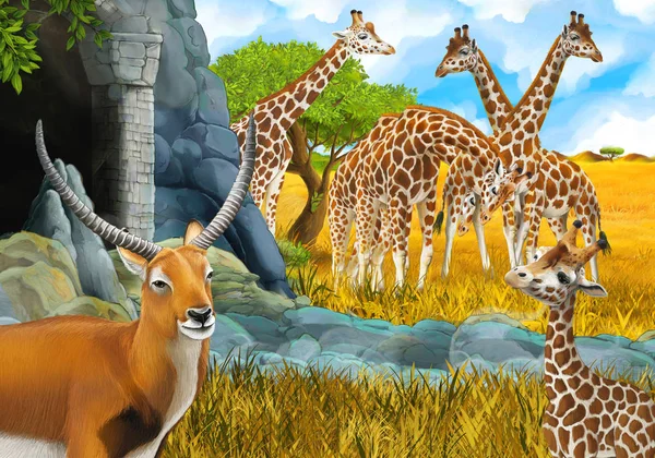 Cartoon safari scene with giraffes on the meadow near some mount — ストック写真