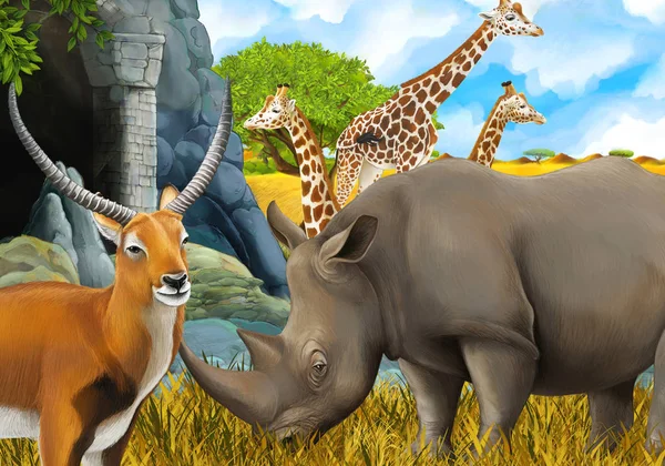 Cartoon safari scene with rhino and giraffe on the meadow near s — 스톡 사진