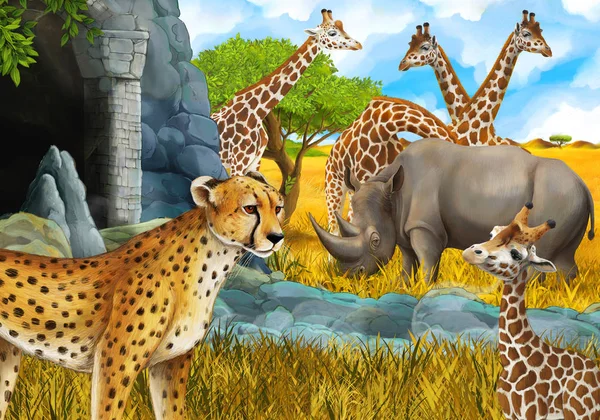 Escena de dibujos animados con jirafas rinoceronte rinoceronte y guepardo en el prado cerca de algún safari de montaña ilustración para niños — Foto de Stock