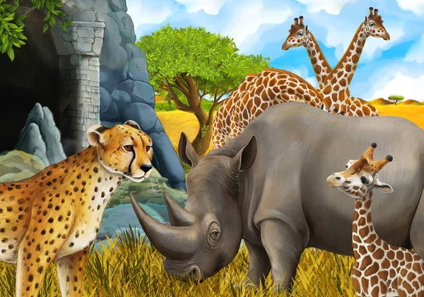 Cena dos desenhos animados com girafas rinocerontes rinoceronte e chita no prado perto de alguma ilustração de safári de montanha para crianças — Fotografia de Stock