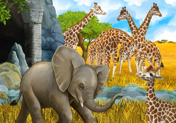 cartoon safari scene with elephant and giraffes on the meadow beautiful illustration for children