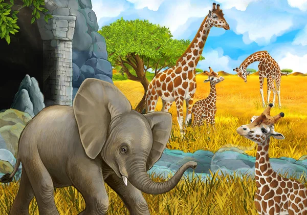 Cartoon safari scene with elephant and giraffes on the meadow beautiful illustration for children — Stock Photo, Image