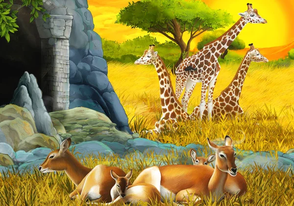 cartoon safari scene with antelope family and giraffes on the meadow near the mountain illustration for children