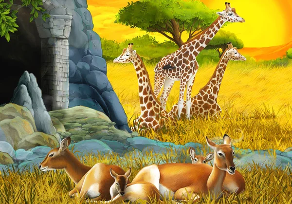 Cena de safári de desenhos animados com família antílope e girafas no prado perto da ilustração da montanha para crianças — Fotografia de Stock