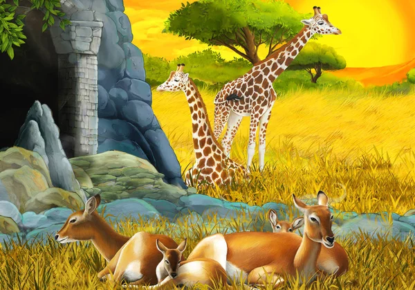 cartoon safari scene with antelope family and giraffes on the meadow near the mountain illustration for children