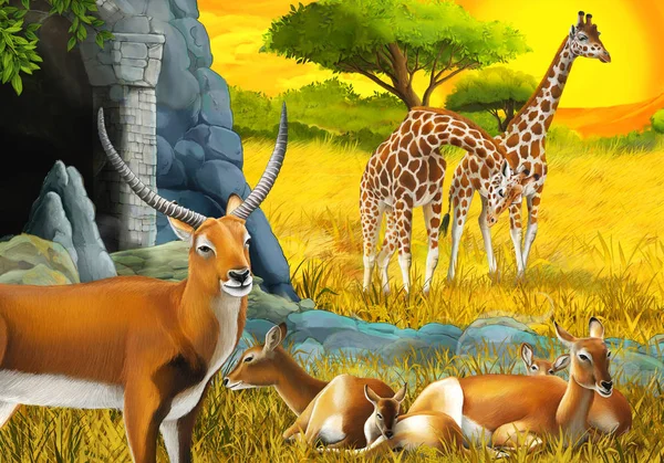 Safari de dibujos animados con la familia del antílope y jirafas en el prado cerca de la montaña ilustración para niños —  Fotos de Stock
