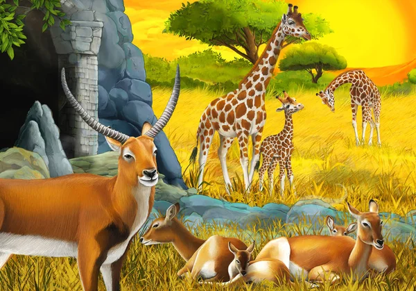 Cartoon safari scene with antelope family and giraffes on the meadow near the mountain illustration for children — 스톡 사진