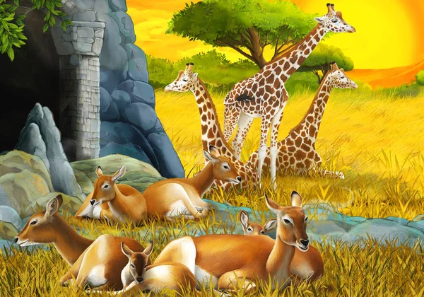 Safari de dibujos animados con la familia del antílope y jirafas en el prado cerca de la montaña ilustración para niños —  Fotos de Stock