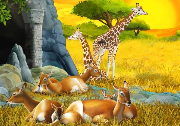 Cartoon safari scene with antelope family and giraffes on the meadow near the mountain illustration for children — Stock Photo, Image