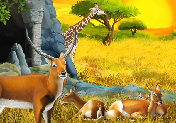 Cena de safári de desenhos animados com família antílope e girafas no prado perto da ilustração da montanha para crianças — Fotografia de Stock