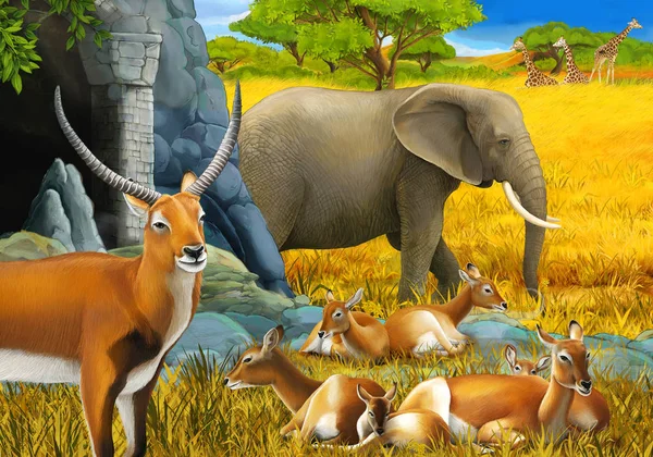 Σκηνή σαφάρι κινουμένων σχεδίων με την οικογένεια των αντιλόπων και ελέφαντα στην απεικόνιση λιβάδι για τα παιδιά — Φωτογραφία Αρχείου