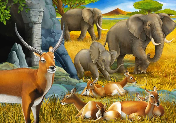 Scène safari dessin animé avec famille d'antilopes et éléphant sur l'illustration de prairie pour enfants — Photo