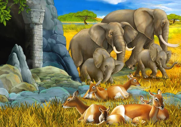 子供のための牧草地のイラスト上のカモシカや象の家族と漫画サファリシーン子供のための牧草地のイラスト上のカモシカや象の家族と漫画サファリシーン — ストック写真