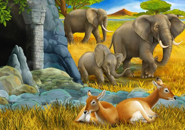 Cartoon safari scene with family of antelopes and elephant on the meadow illustration for children — Stock Photo, Image