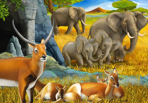 Cartoon safari scene with family of antelopes and elephant on the meadow illustration for children — Stock Photo, Image