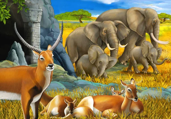 Safari de dibujos animados con familia de antílopes y elefante en el prado ilustración para niños — Foto de Stock