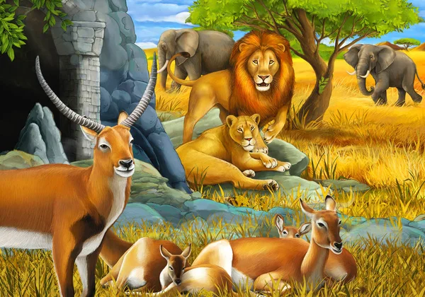 cartoon safari scene with family of antelopes lion and elephant on the meadow illustration for children