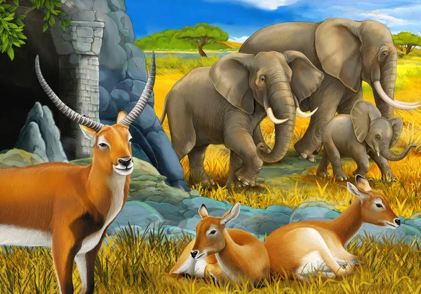 Cartoon safari scene with family of antelopes and elephant on the meadow illustration for children — Stock Photo, Image