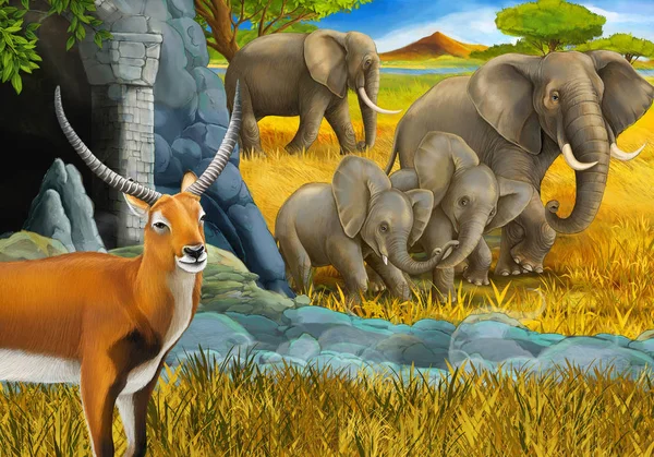 Scena safari con famiglia di antilopi ed elefante sul prato illustrazione per bambini — Foto Stock