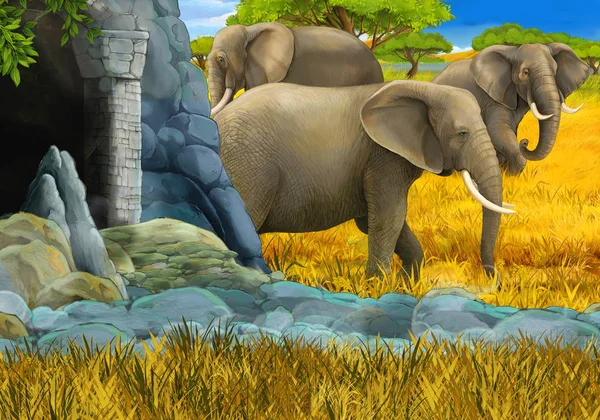 Scena safari del fumetto con elefante sul prato illustrazione per bambini — Foto Stock