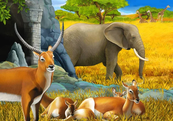 Σκηνή σαφάρι κινουμένων σχεδίων με την οικογένεια των αντιλόπων και ελέφαντα στην απεικόνιση λιβάδι για τα παιδιά — Φωτογραφία Αρχείου