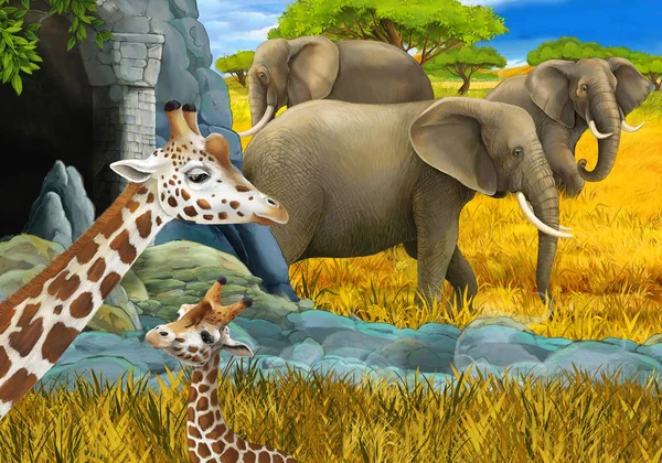 cartoon scene with safari animals giraffe and elephant on the meadow illustration for children