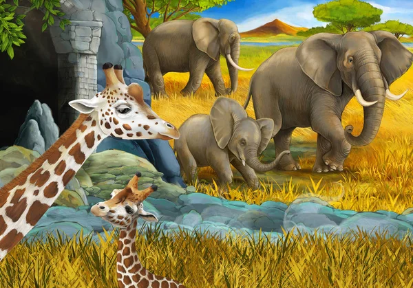 cartoon scene with safari animals giraffe antelope and elephant on the meadow illustration for children