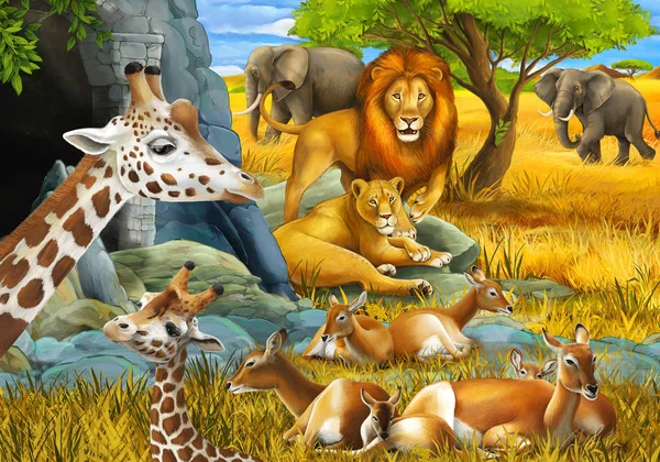 cartoon scene with safari animals giraffe antelope lion and elephant on the meadow illustration for children