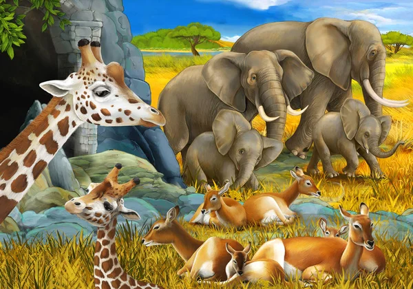cartoon scene with safari animals giraffe antelope and elephant on the meadow illustration for children
