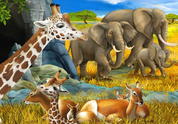 Rajzfilm jelenet szafari állatok zsiráf antilop és elefánt a réten illusztráció gyerekeknek — Stock Fotó