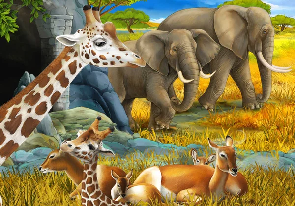 cartoon scene with safari animals giraffe antelope and elephant on the meadow illustration for children