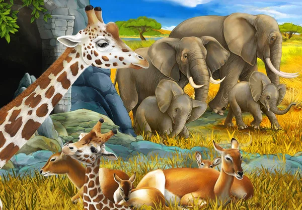 Zeichentrickszene mit Safari-Tieren Giraffenantilope und Elefant auf der Wiese Illustration für Kinder — Stockfoto