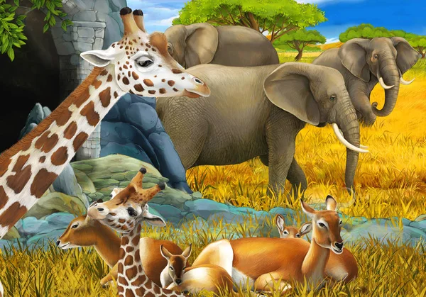 cartoon scene with safari animals giraffe antelope and elephant on the meadow illustration for children