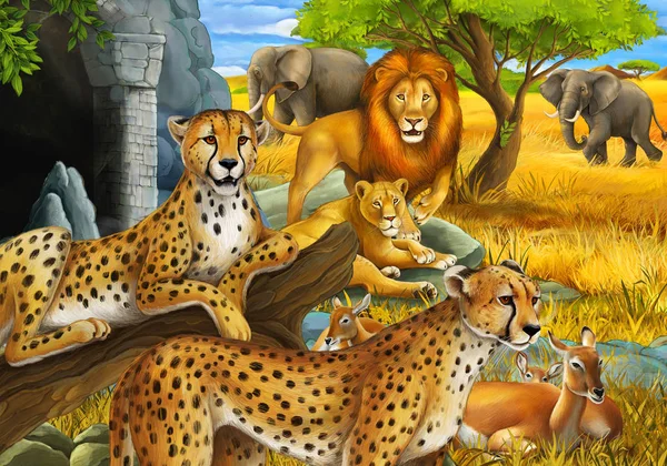 サファリ動物と漫画のシーン子供のための牧草地のイラストの上にライオンとゾウをcheetahアンテロープ — ストック写真