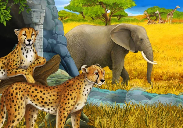 cartoon scene with safari animals cheetah and elephants on the meadow illustration for children