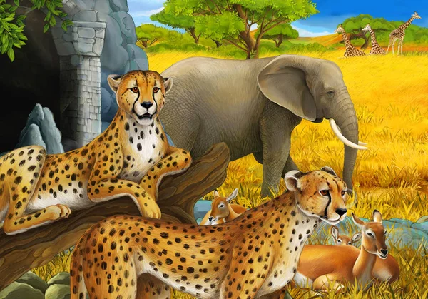 Scena kreskówki ze zwierzętami safari antylopy gepardy i słonie na łące ilustracja dla dzieci — Zdjęcie stockowe