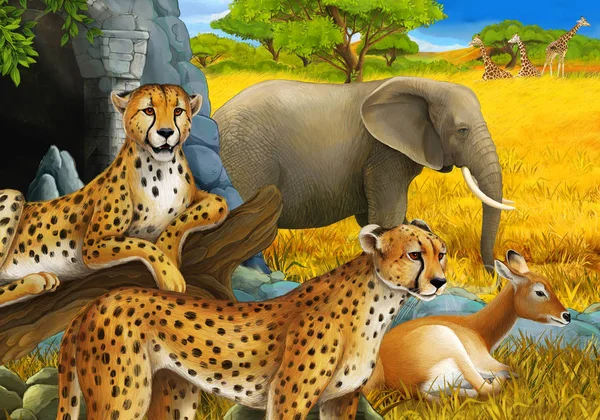 サファリ動物と漫画のシーン子供のための牧草地のイラスト上のチーターアンテロープと象 — ストック写真