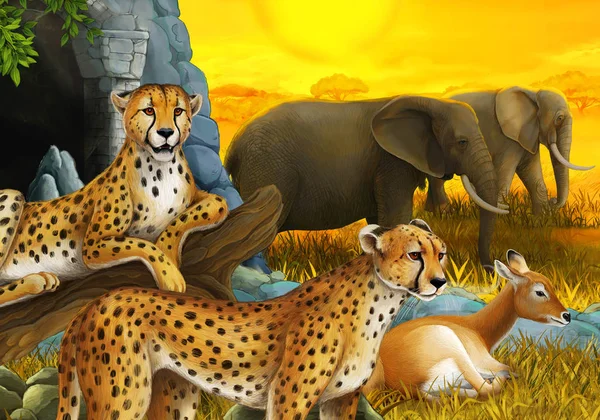サファリ動物と漫画のシーン子供のための牧草地のイラスト上のチーターアンテロープと象 — ストック写真