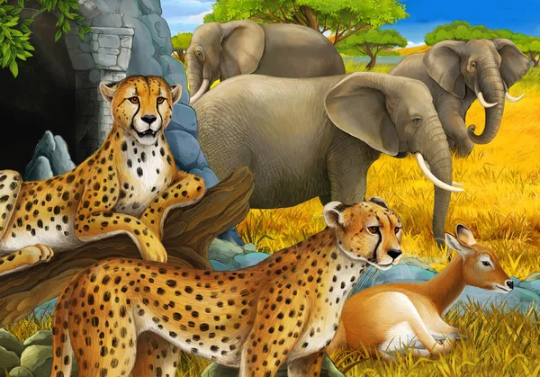 cartoon scene with safari animals cheetah antelopes and elephants on the meadow illustration for children