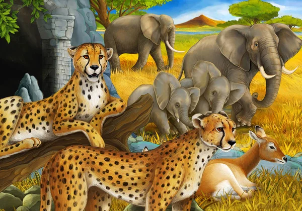 cartoon scene with safari animals cheetah antelopes and elephants on the meadow illustration for children