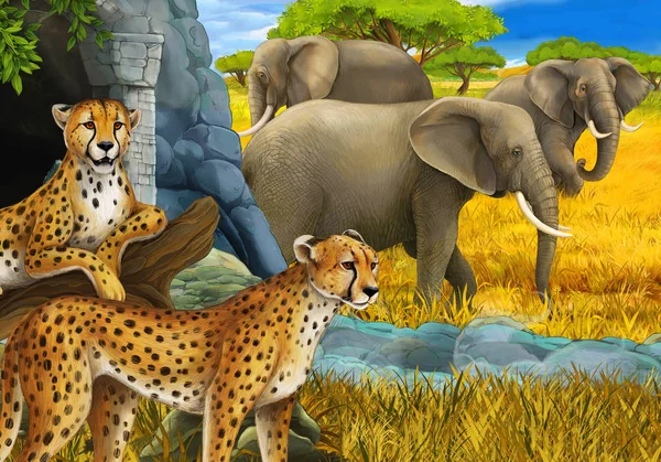 cartoon scene with safari animals cheetah and elephants on the meadow illustration for children