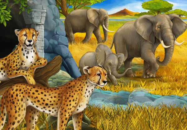 cartoon scene with safari animals cheetah and elephants on the meadow illustration for children