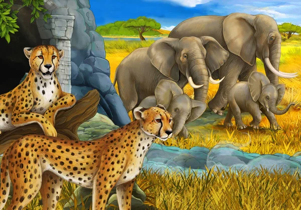 Scenă de desene animate cu animale safari ghepard și elefanți pe pajiști ilustrație pentru copii — Fotografie, imagine de stoc