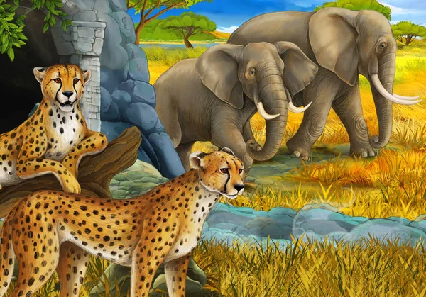 Мультяшна сцена з сафарі тварин гепард і слони на лузі ілюстрація для дітей — стокове фото