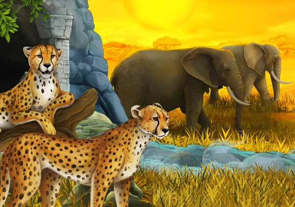 cartoon scene with safari animals cheetah and elephants on the meadow illustration for children