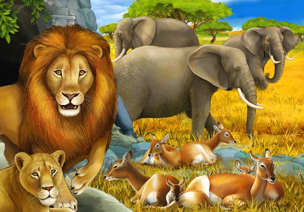 cartoon safari scene with lions resting and elephant on the meadow illustration for children