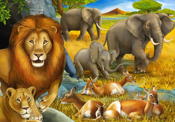 Rajzfilm szafari jelenet oroszlánok pihenés és elefánt a réten illusztráció gyerekeknek — Stock Fotó