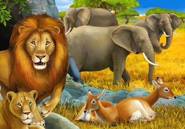Scène de safari dessin animé avec des lions reposant et éléphant sur l'illustration de prairie pour les enfants — Photo