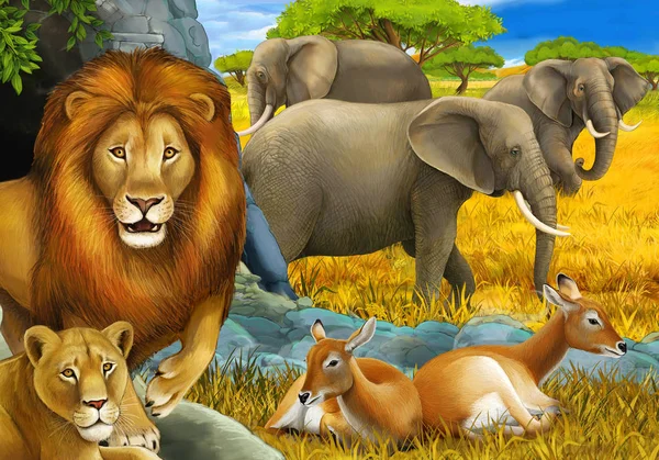 Tecknad safari scen med lejon vilar och elefant på ängen illustration för barn — Stockfoto