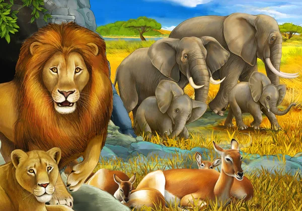 Cartoon safari scene with lions resting and elephant on the meadow illustration for children — Stock Photo, Image